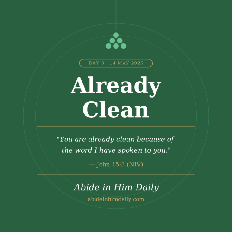 Already Clean