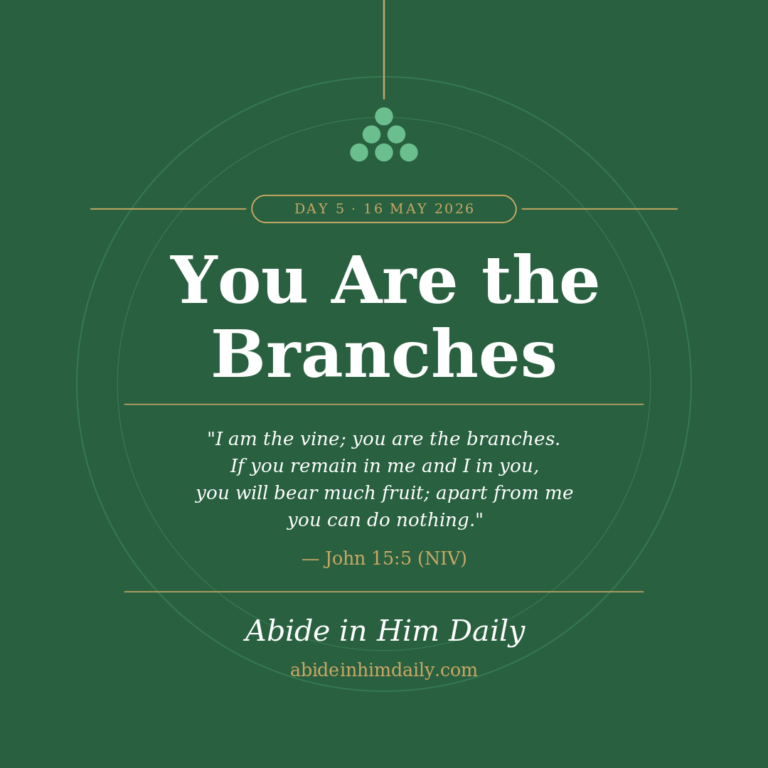 You Are the Branches