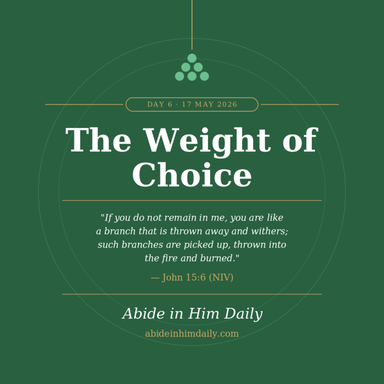 The Weight of Choice