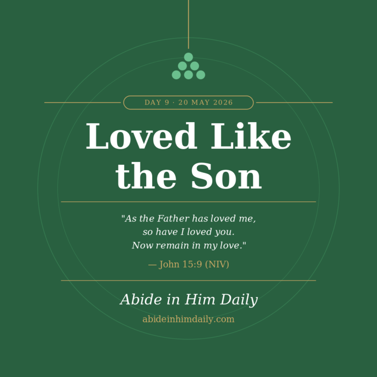 Loved Like the Son