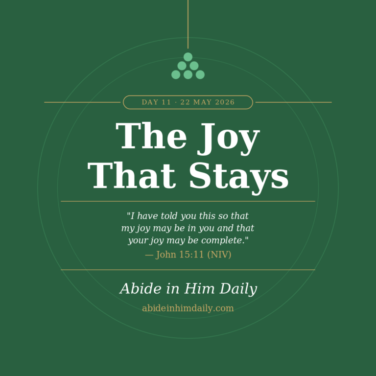 The Joy That Stays