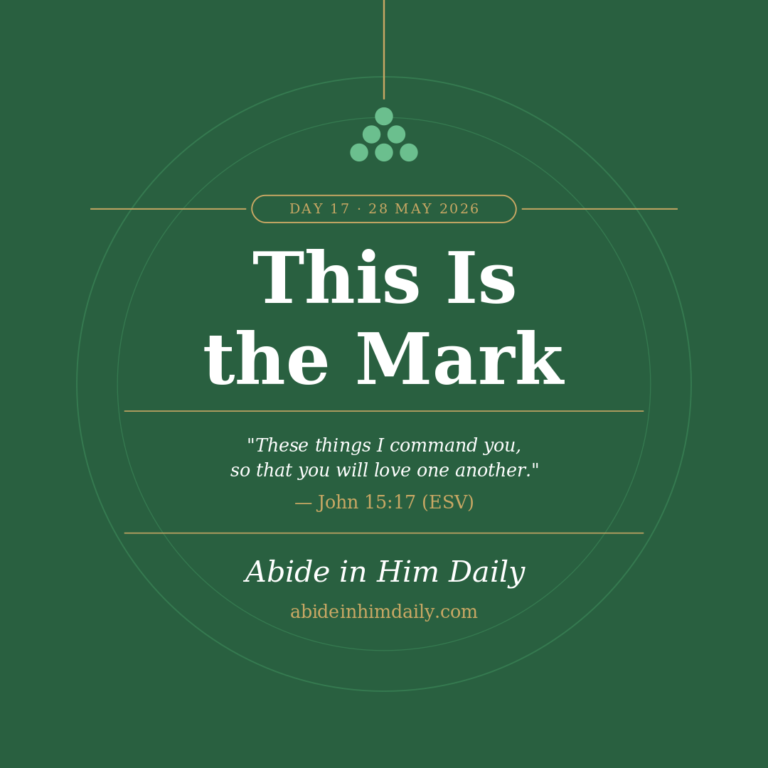 This Is the Mark