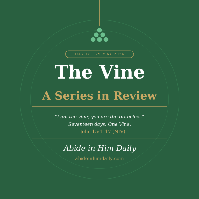 Seventeen Days in the Vine