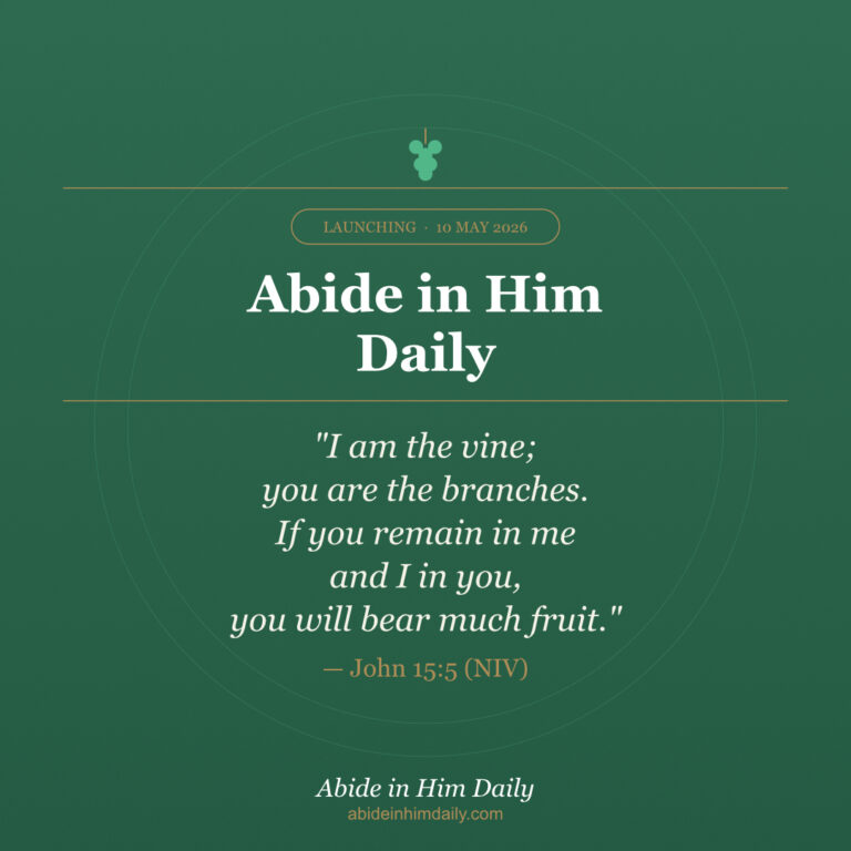 The Why Behind Abide in Him Daily
