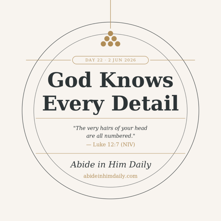 God Knows Every Detail