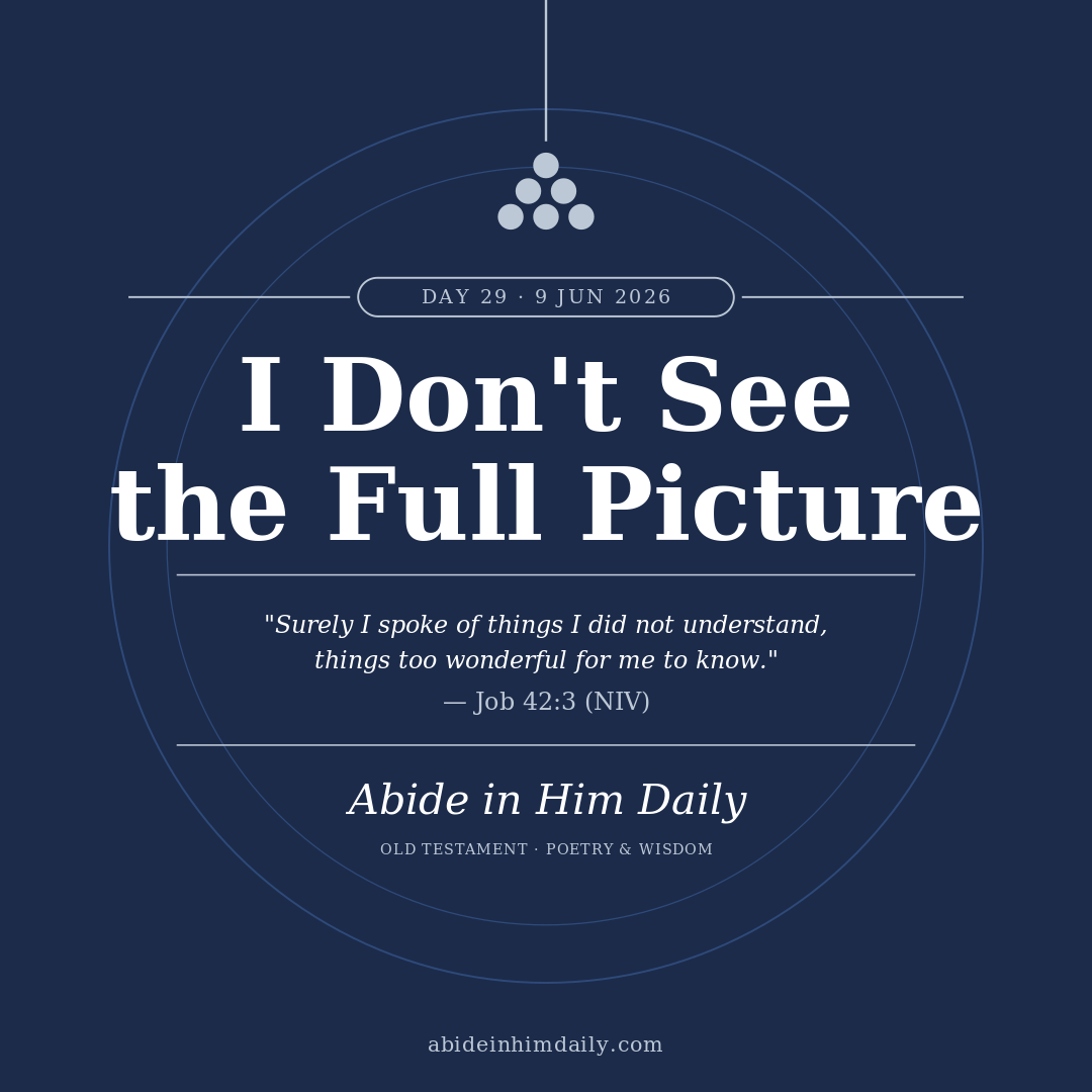 I Don’t See the Full Picture