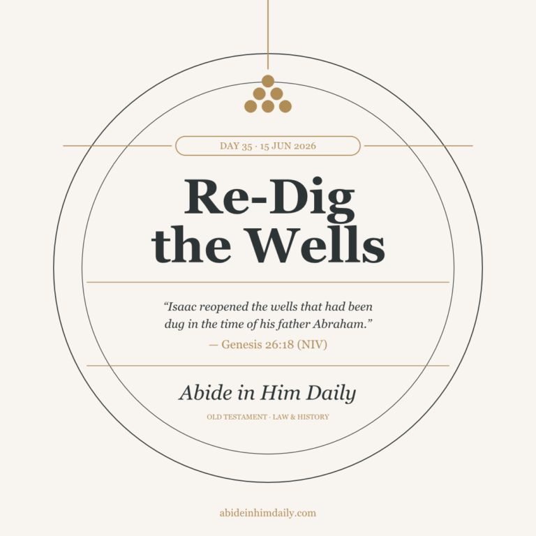 Re-Dig the Wells