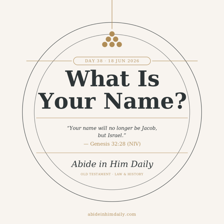 What Is Your Name?