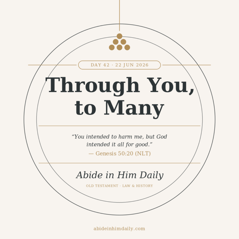 Through You, to Many