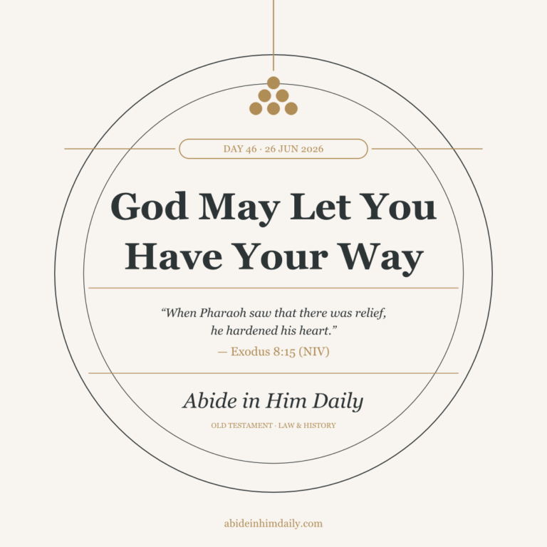 God May Let You Have Your Way