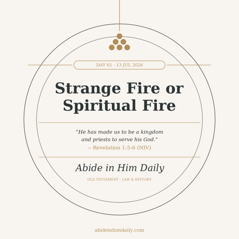Strange Fire or Spiritual Fire