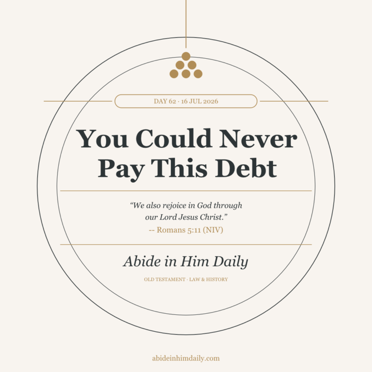 You Could Never Pay This Debt